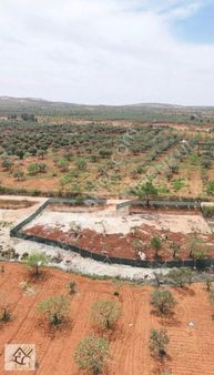 Oğuzeli 1 Dönüm Yol Üzeri Bağevlik Arazi