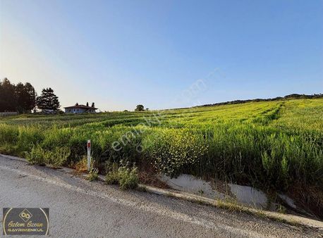 Kandıra Çalköyde Asfalt Cephe