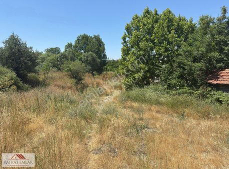 Susurluk Demirkapı Satılık 80 Dönüm Çiftlik Ve Arazisi