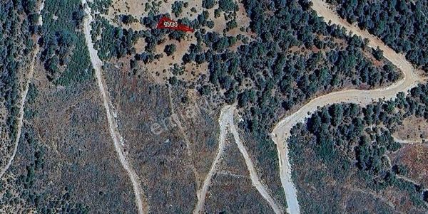 Balıkesir Dursunbey'de Uygun Fiyata Arazi (takas Açık)