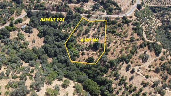 🎉🎉 Nazilli Samailli’de 4.187 M2 Satılık Bahçe 🎉🎉