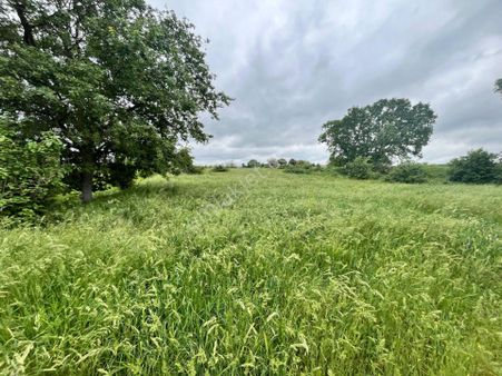 Malkarada Yatırımlık Müstakil Tek Tapu Tarla