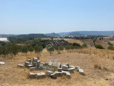 Özveri Emlak'tan Ant Aksu Karaöz'de 7700m2 Satılık Tarla