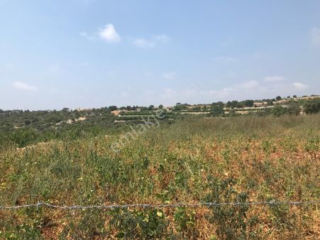 Narlikuyu - Kavlaklıda Satılık Deniz Manzaralı Tarla