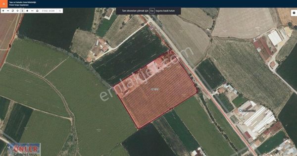 Cahı Mahallesi Kargacı Yolu Üzerinde Tam Teşkilatlı Çiftlik