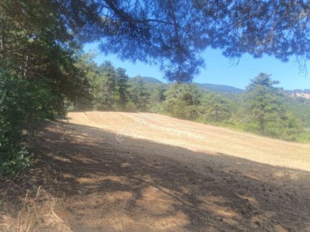 Sakarya/geyve/ılıca'da Yatırıma Uygun Yolu Olan Taraklı-geyve Yolu Üzeri Müstakil Tapulu Tarla