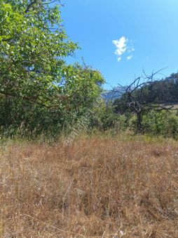 Sakarya/geyve/ılıca'da Şehir Gürültüsünden Uzak Tarla