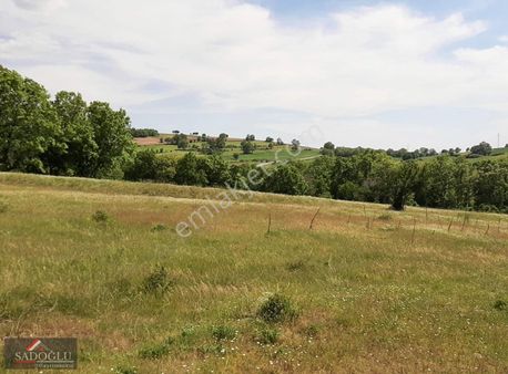 Kırklareli Kofçaz Elmacık Köyünde 16.384 M2 Müstakil Tapu Tarla