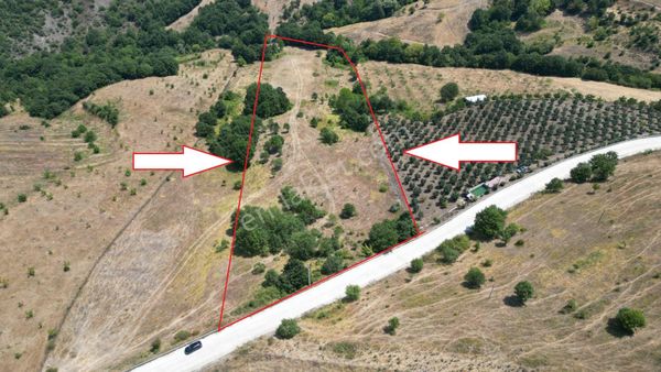 Kocaeli Karamürsel Fulacık %5 İmarlı 21.396 M2 Satılık Tarla