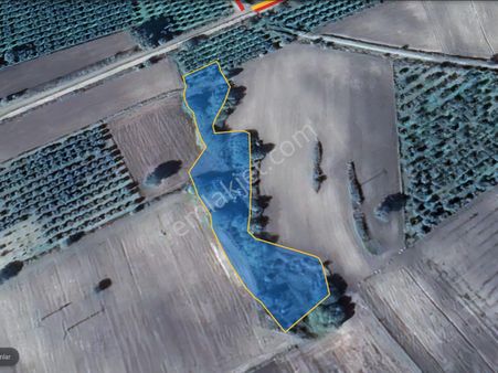 Karacabey Eskikaraağaçda Yola Cephe Göl Manzaralı Satılık Tarla