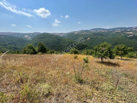 Kocaeli Karamürsel Fulacık %5 İmarlı 3341 M2 Satılık Fırsat Tarla