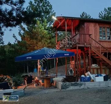 Aşağı Atalan Köyü 2 Hisseden Biri Acilll Satılıktır 25950,m2