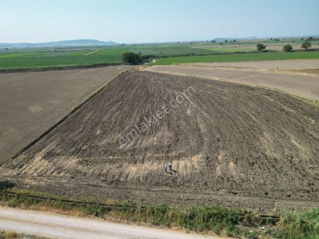 Foça Gerenköyde 11 Dönüm Verimli Ürün Alacağınız Satılık Tarla