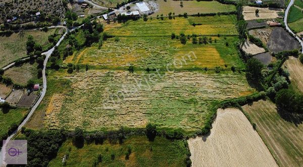 Violetten Satılık Tarla Balıkesir İvrindi Kurtuluş
