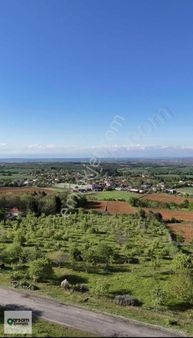 Malkara Köy Merkezinde Yapı Yapabileceğiniz 272 M2 Arsa