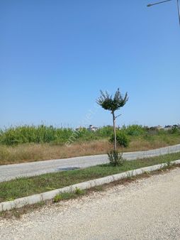 Devlet Hastanesi Altınca Ana Caddeye Sıfır %40ticari ,dükkan+ 2 Kat+çatı İmarlı Arsa