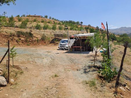 Pınarbaşında Satılık Badem Bahçesi 2.300.000tl