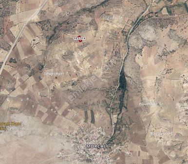 Morcalı'da Acil Satılık Tarla