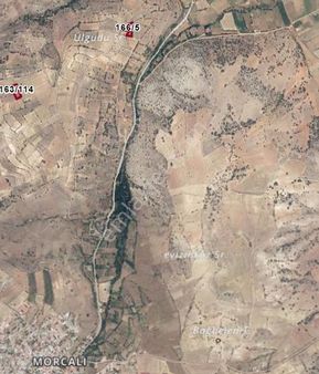 Morcalıda Satılık Bağ