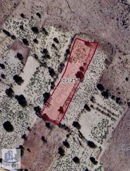 Granit Gayrimenkulden Satılık Bag