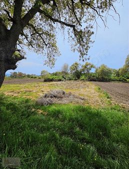 Çanakkale ︎biga ︎ağaköy De- Satılık Bahçemiz
