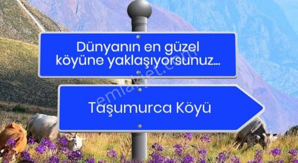 Tekirdağ Süleymanpaşa İlçesi Taşomurcan Mahallesinde 2800 M2 Satılık Tarla