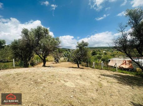 Damlacık Solmaz Mevki Tapuku Kupon Arsa