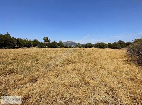 Ören Sahile 21 Km Mesafede Tarla