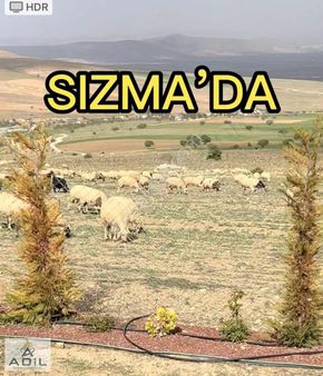 Sızma'da. 250 Mt2 Kendine Ait Hobibahçesi