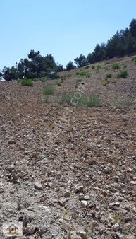 Ömer G.menkulden Nacar Mehmet Akif Mah Satılık Bağ - Tarla