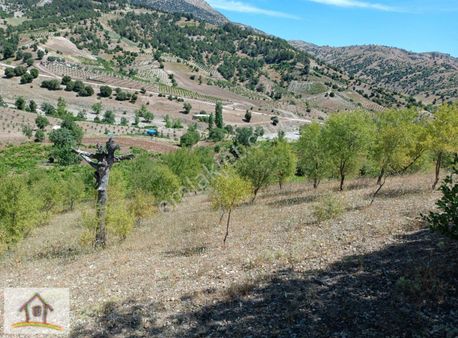 Ömer G.menkulden Pazarcık Büyük Nacar Da Satılık Bahçe