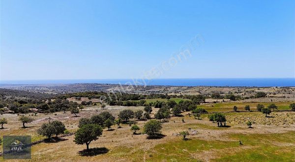 Ayvacık Tuzla Satılık Mükemmel Deniz Manzaralı Tarla