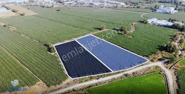 Çanakkale Biga Hamdibey Mah. 11.643 M2 Kupon Tarla️