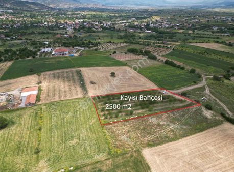 Korkuteli Yeltende 2.500 M2 Kayısı Bahçesi Suyu Mevcut