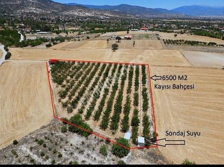 Korkuteli Yeltende 6.500 M2 Bahçe Suabonesi Sondajı Elektriği Vr