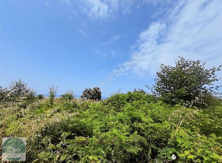 Resuloğlu Emlak-gülyalıda Musteşem Köşe Parsel