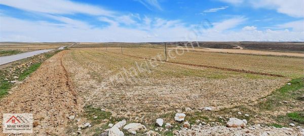 Niğde-bor-gökbez Kemerhisar-havuzlu-postallı Asfalta Sıfır Tarla