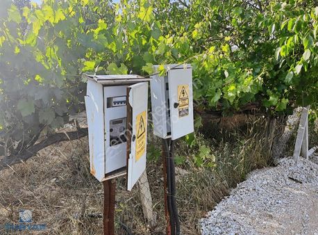 Torbalı Helvacı Mah.2745 M2 Satılık Zeytinli Tarla