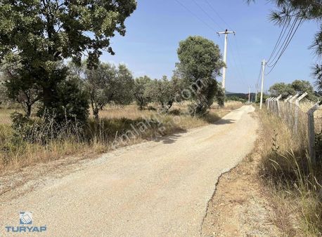 Torbalı Dirmil Mah 10316m2 Aile Mirası Bölünme Satılık Tarla