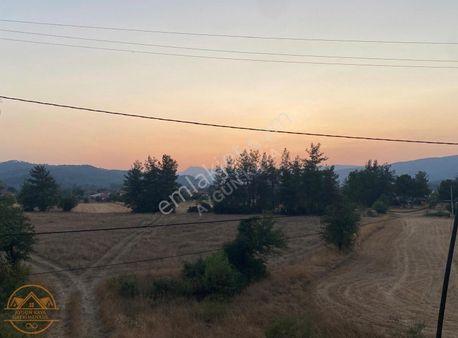 Muğla Ula Karabörtlen Mahallesi'de Satılık Tarla