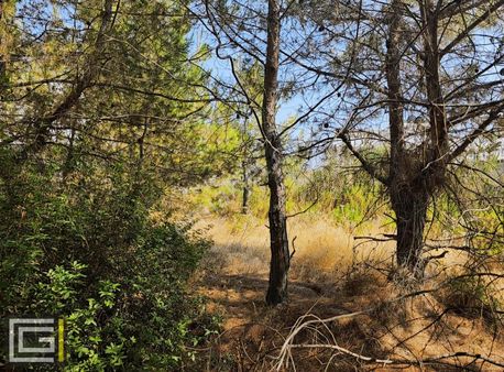 Dalaman Şerefler Karadere De %20 İmarlı Doğa İçinde Satılık Arsa