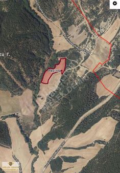 Acil Çanakkale Gelibolu Karainebeyli Köyünde Yatırımlık Tarla