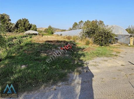 Beykoz Cumhuriyet Köyde 3921 M2 Müstakil Parsel