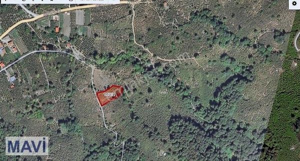 Remax Ömer Esen'den 2557 M² Çift Yol Cepheli Fındıklık