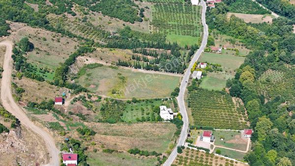 Asfalt Yola 74 Metre Cephe 12626 M2 Satılık Tarla