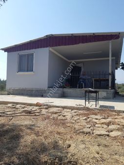 Karaisalı Bekirli..12 Dönüm Tek Tapu Zeytin-incir Bahçesi Ve Bağ Evi