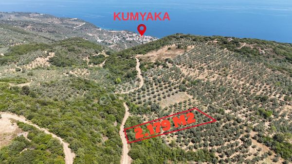 Mudanya Kumyaka' Da Full Deniz Manzaralı Muhteşem Arazi