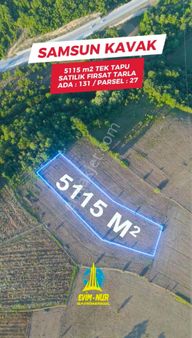 Evim-nur'dan Kavak Ortaköy Mh 5.115m2 Yola Cephe Kaçırılmayacak Fırsat Tarla
