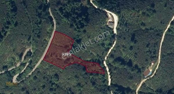 Mabel'den Fatsa Hacıköy Mahallesinde 4750m2 Fırsat Satılık Arsa