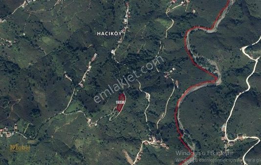 Mabel'den Fatsa Hacıköy'de 2343m2 Fırsat Satılık Arsa